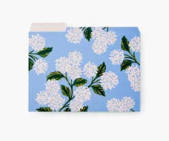 Assorted File Folders|RIFLE PAPER Co. Online