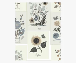 Botanical Prints Wallpaper Sample|RIFLE PAPER Co. Fashion