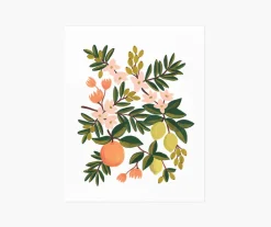 Citrus Floral Art Print|RIFLE PAPER Co. Outlet