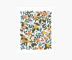 Citrus Grove Art Print|RIFLE PAPER Co. Outlet