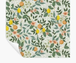 Citrus Grove Peel & Stick Wallpaper|RIFLE PAPER Co. Hot