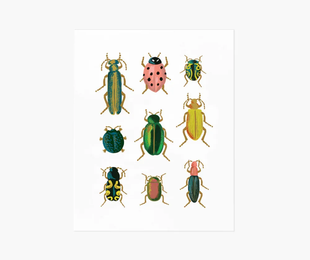Curio Art Print|RIFLE PAPER Co. Discount