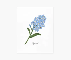 Forget-Me-Not Art Print|RIFLE PAPER Co. Sale