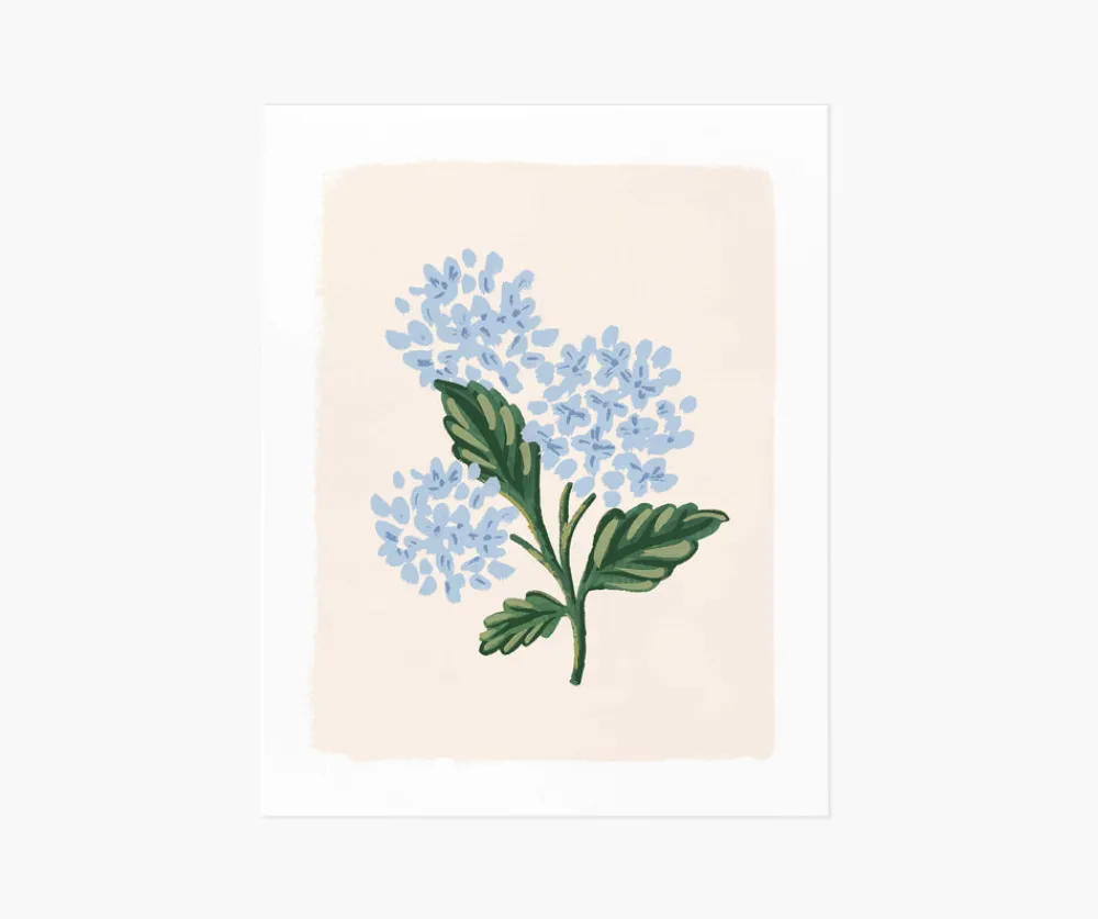 Hydrangea Bloom Cream Art Print|RIFLE PAPER Co. Best