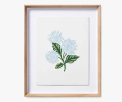 Hydrangea Framed Wall Art|RIFLE PAPER Co. New