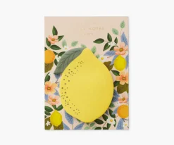 Sticky Notes|RIFLE PAPER Co. Hot